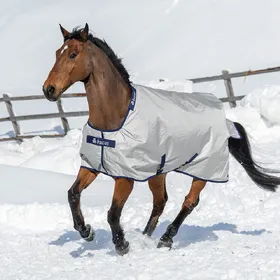 Meilleurs prix pour Bucas Power Turnout Extra Classic 300g SD - argent