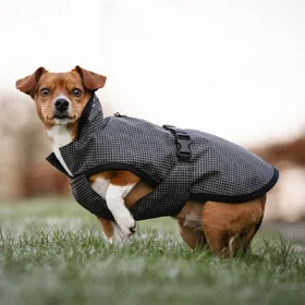 Meilleurs prix pour Couverture pour chien Bucas Reflectglow - Taille 25