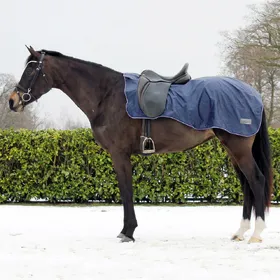 Meilleurs prix pour Couvre-reins pour cheval doublé de molleton Q-essentials 420D