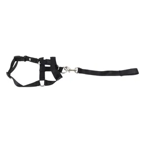 Comparer les prix de Muselière pour chien avec corde de remorquage, collier réglable pour la tête du chien, licol, pour empêcher de mordre, aboyer, s'enfuir L