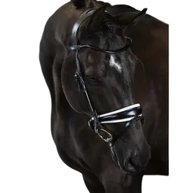 Comparer les prix de Bridon équitation PS of Sweden GP