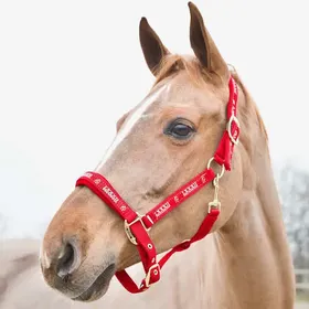Meilleurs prix pour Licol pour cheval Horze Hamptons
