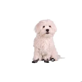 Comparer les prix de Chaussettes pour chien - FLAMINGO - Antidérapantes - Noir/Grey - 4 5x3 5x5 3 cm - Confortables