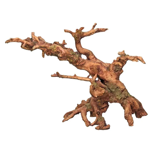 Aqua Deco Racine Arbre Exotique 385x240x255mm – photo 2