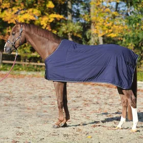 Comparer les prix de Sous-couverture Kavalkade 150g - Taille 145