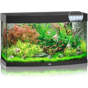 Meilleurs prix pour Aquarium JUWEL Vision 180 LED