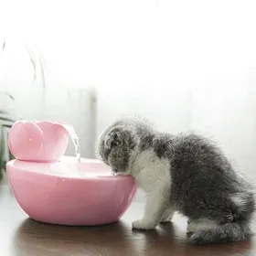 Meilleurs prix pour Fontaine a Eau Chat Distributeur eau en céramique pour Animaux de