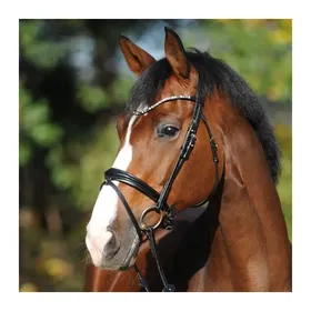 Meilleurs prix pour Bridons équitation Kavalkade Reyna KavalSH4
