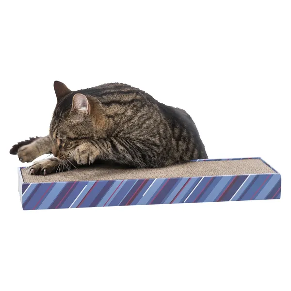 Griffoir en carton avec herbe à chat – photo 2
