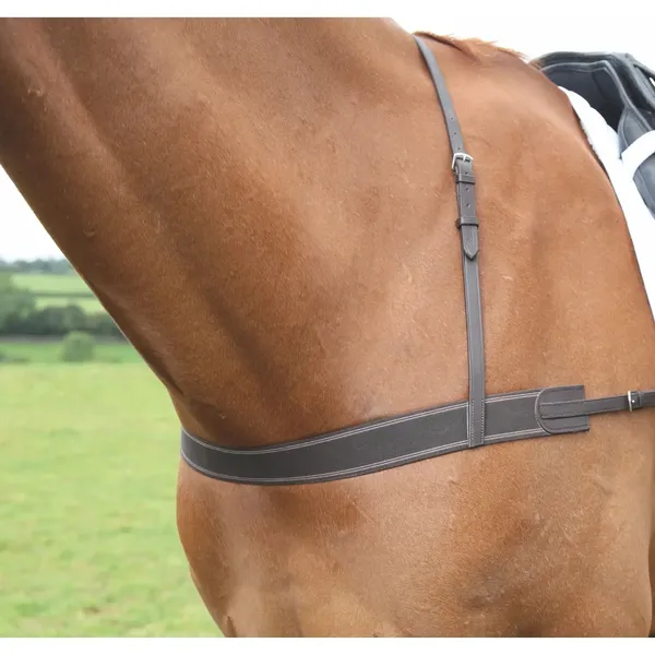 Sangle élastique pour cheval Velociti Gara – photo 2
