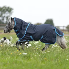 Meilleurs prix pour Horseware Amigo Hero 6 Petite Plus Turnout Medium 200g - Marine/Bleu électrique - Taille 60