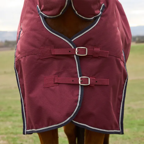 Couverture d'extérieur pour cheval Weatherbeeta Comfitec Prelim Combo 220g – photo 3