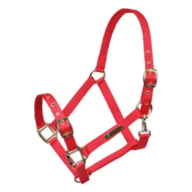 Meilleurs prix pour Licol pour cheval réglable en nylon ARMA