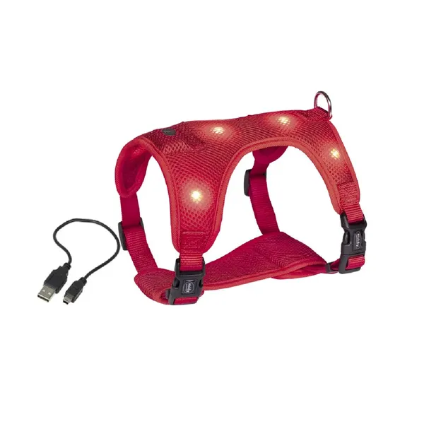 Nobbys 80750?01 Flash en Maille Harnais de sécurité LED Rouge Petite – photo 3