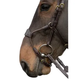 Comparer les prix de Muserolle cheval élastique Dy'on Hybride