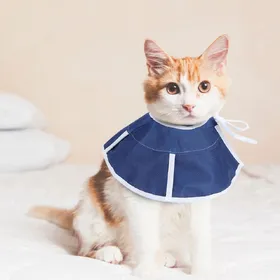 Comparer les prix de Collier Protecteur Mignon pour Animal de Compagnie Guérison des Plaies Anti-Morsure Récupération Cercle Elizabeth Réglable pour Chat Chien M beige