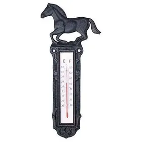 Meilleurs prix pour Thermomètre en fer HKM