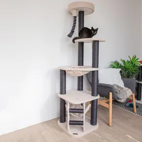 Meilleurs prix pour Arbre à chat - 176 cm - Zolia Everest - 48x48x176cm