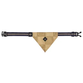 Meilleurs prix pour Collier pour chien collection avec bandana QHP