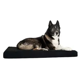 Comparer les prix de Matelas à mémoire de forme Back on Track XS