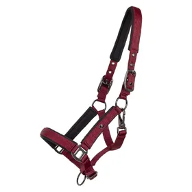 Meilleurs prix pour Licol pour poulain QHP Deluxe