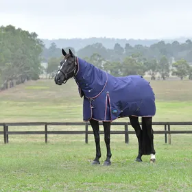 Meilleurs prix pour Couverture d'extérieur WeatherBeeta ComFiTec Essential Turnout Detach-A-Neck 50g - Taille 135 - Bleu