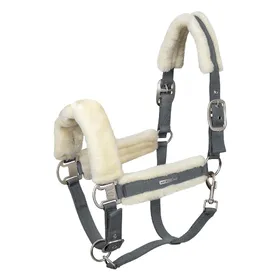 Comparer les prix de Licol pour cheval Waldhausen Soft