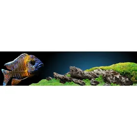 Meilleurs prix pour Pierre de dragon naturelle - Smocza Skała - 1 kg - Pour aquarium et terrarium - Roche sédimentaire naturelle