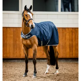 Meilleurs prix pour Couverture d'écurie pour cheval Horseware Ripstop 900D Walker 100g