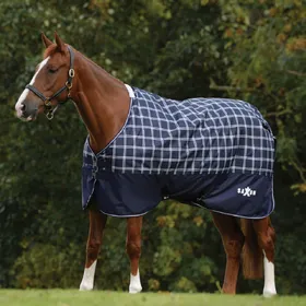 Meilleurs prix pour Couverture d'extérieur pour cheval Saxon Defiant Standard 200g