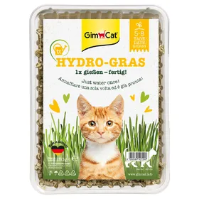 Meilleurs prix pour Hydro-Gras Herbe à chat GimCat - Herbe à chat