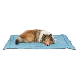 Comparer les prix de Couverture de voyage Trixie Samoa Classic pour chien - L 120 x l 80 cm