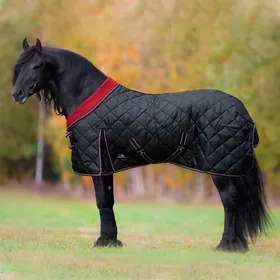 Meilleurs prix pour Couverture décurie pour cheval Horsenjoy Meribel 300 g - black - Noir - 145 cm