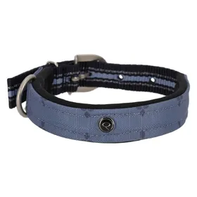 Meilleurs prix pour Collier pour chien QHP
