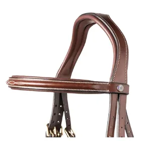 Meilleurs prix pour Accessoire de bridon pour cheval Trust Calgary