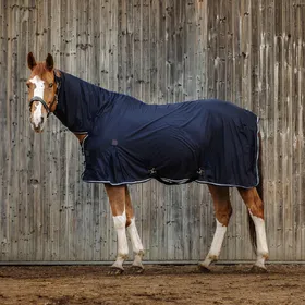 Meilleurs prix pour Chemise séchante pour cheval Equithème Combo