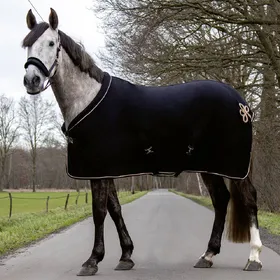 Comparer les prix de Couverture séchante pour cheval HKM Rosegold Glamour