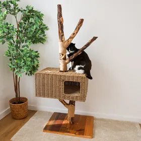 Meilleurs prix pour Arbre à chat d' extérieur en bois - 153 cm - Zolia Baghera - 60x50x153 cm