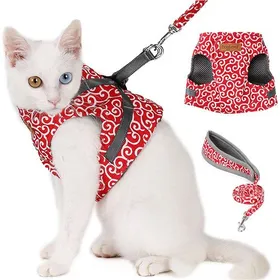 Meilleurs prix pour Corde de traction Gilet rembourré avec anti-fuite pour chat avec laisse réglable (rouge XS)
