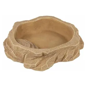 Comparer les prix de Terra della Gamelle pour eau, Aménagement pour terrarium