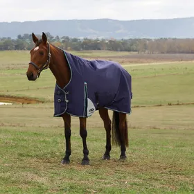 Meilleurs prix pour WeatherBeeta ComFiTec Plus Dynamic Turnout High Neck 100g - Taille 135 - Bleu