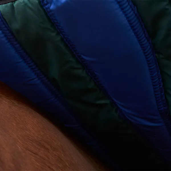 Couverture d'extérieur pour cheval Weatherbeeta Comfitec Plus Dynamic 220g – photo 4