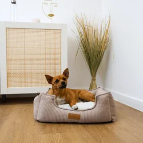 Comparer les prix de Panier velours Zolia Crème pour chat et petit chien - S -55x45x17 cm