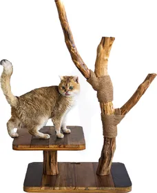 Meilleurs prix pour Arbre à chat d' extérieur en bois - 103 cm - Zolia Mougli - 60x50x103cm