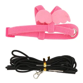 Meilleurs prix pour Harnais Laisse pour Oiseau Résistant aux Morsures Réglable Ultra Léger Corde de Traction pour Oiseau pour Entraînement de Perroquet M S(for 2-4kg) rose
