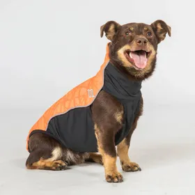 Comparer les prix de Back on Track Eddie Petite Pull pour chien réfléchissant