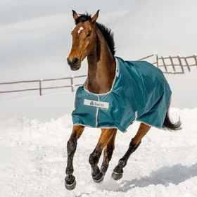 Meilleurs prix pour Couverture d'extérieur pour cheval imperméable Bucas Atlantic Turnout 200g