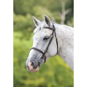 Comparer les prix de Bride équitation Velociti Gara Fancy Stitched Inhand