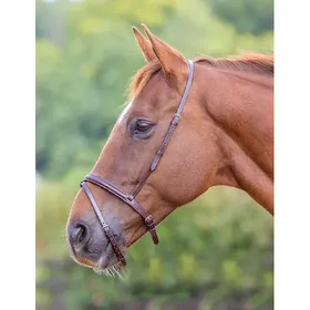 Comparer les prix de Muserolle combinée flash pour cheval Velociti Gara