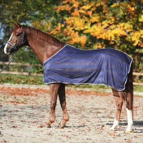 Comparer les prix de Chemise anti-mouches Kavalkade Stripe - Taille 125 - Bleu
